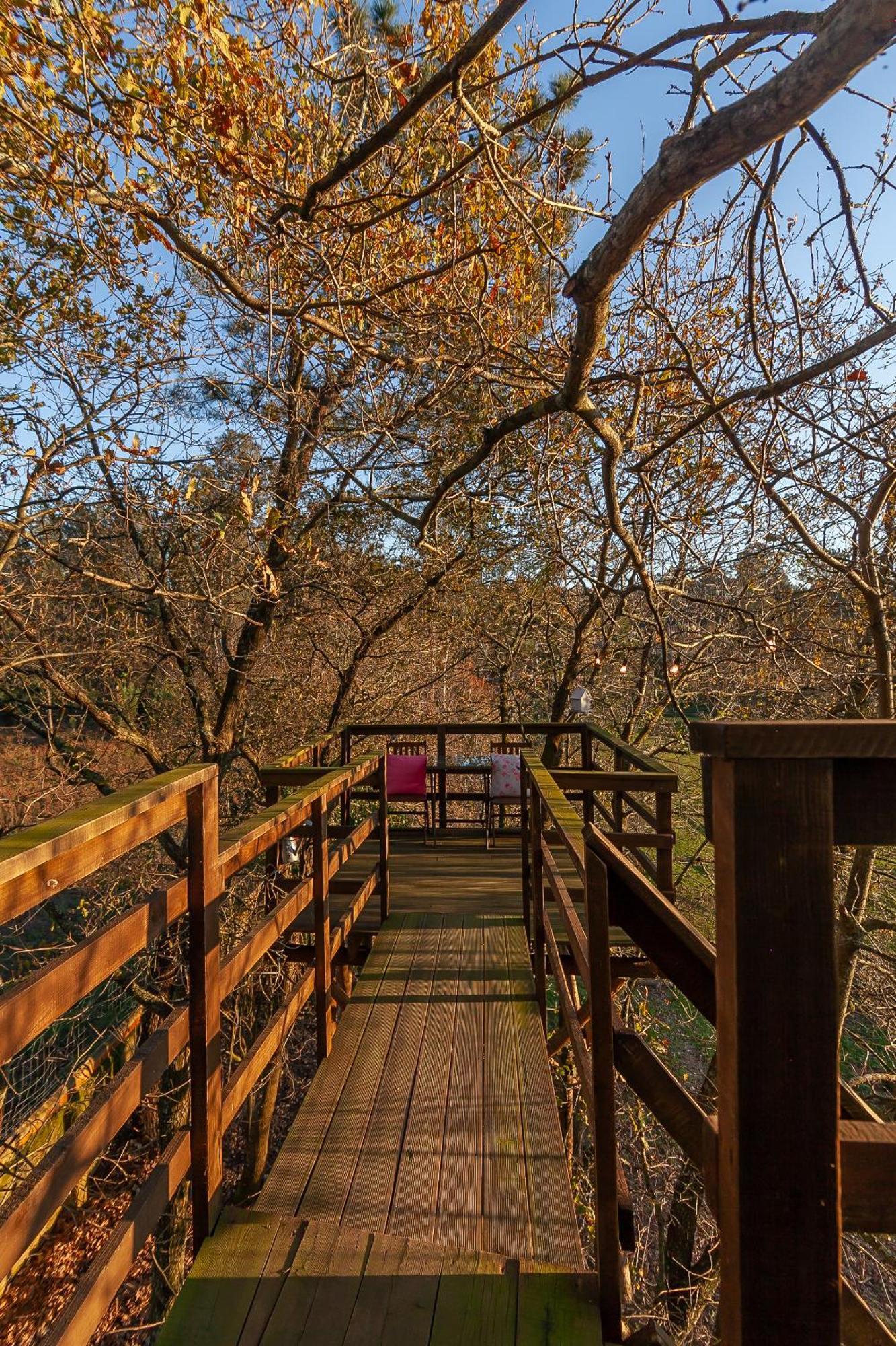 אלברגריה-א-ולחה Vale Da Silva Villas - Quinta חדר תמונה